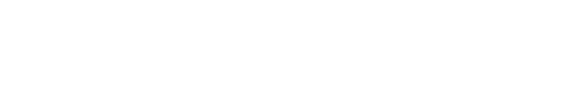 Essayruns
